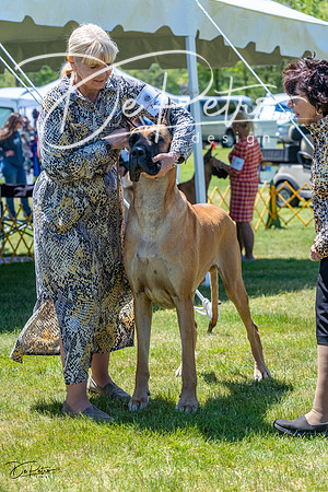 20230514-DSC07940