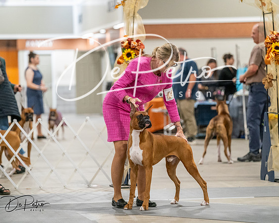 20261022-DSC02820