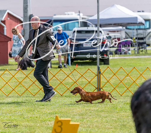 20230513-DSC09755