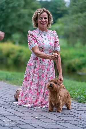 20260912-DSC03361