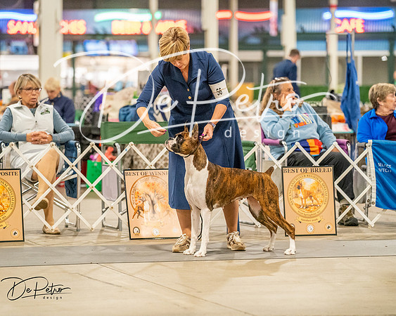 20261022-DSC01784