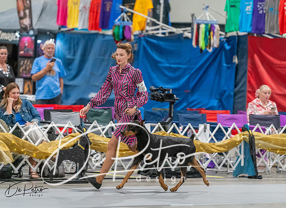 20260926-DSC04949