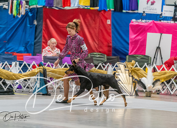 20260926-DSC04934
