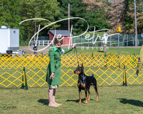 20230514-DSC03278