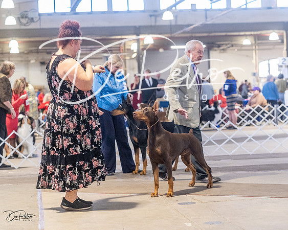 20230401-DSC06483