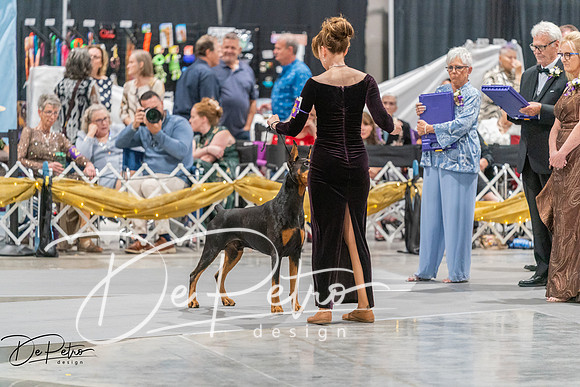 20260928-DSC06200