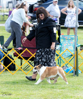 20230512-DSC03975