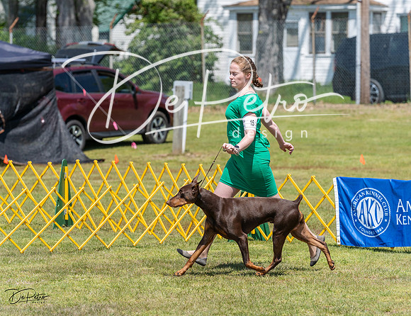 20230512-DSC02904