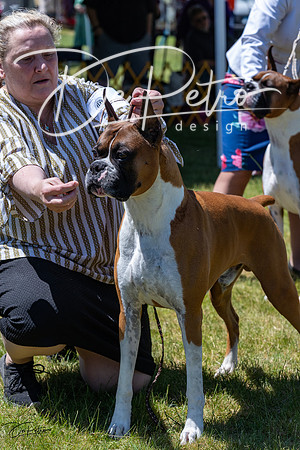 20230514-DSC04579
