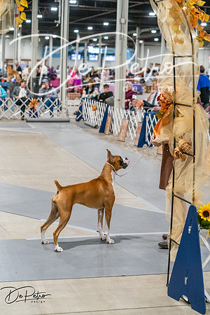 20261023-DSC04973