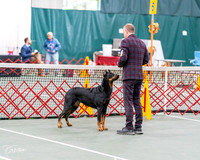 20261017-DSC08457