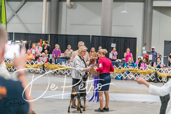 20260927-DSC05273