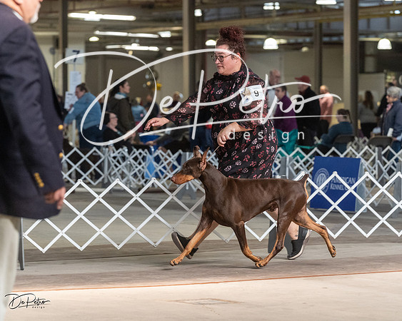 20230402-DSC08932