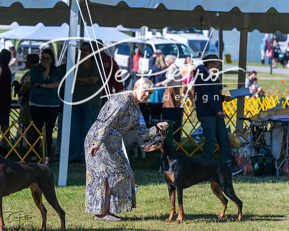 20230514-DSC02760