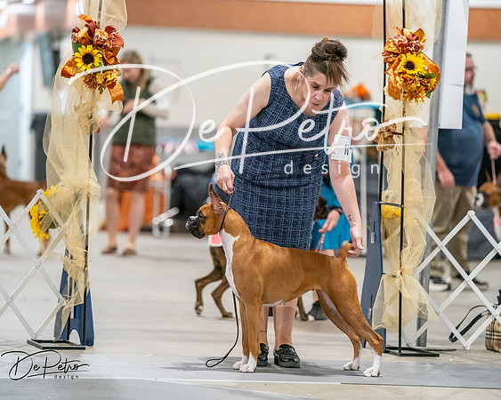 20261022-DSC03114