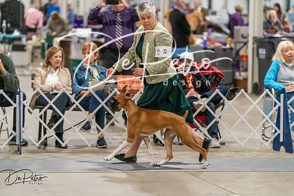 20261023-DSC05076