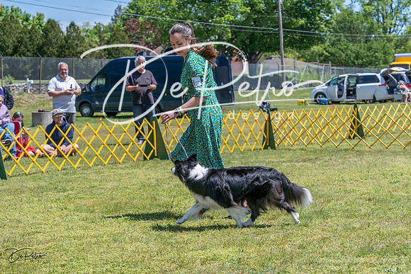 20230514-DSC04984