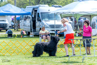 20230512-DSC05311