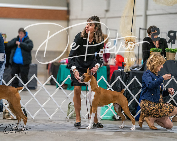 20261022-DSC02966