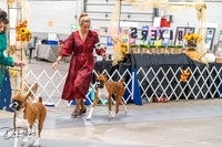 20261023-DSC04911