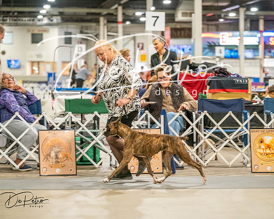 20261022-DSC01708