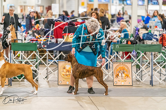 20261022-DSC00378