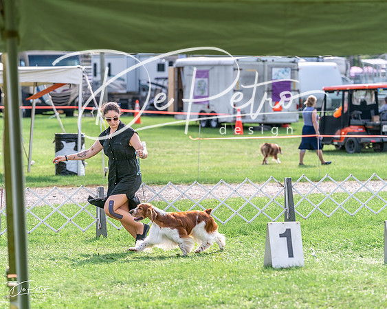 20240815-DSC07837