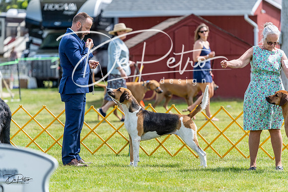 20230513-DSC09365