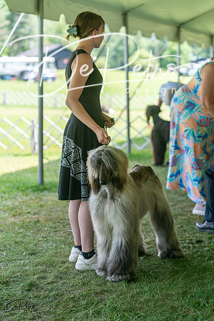 20240630-DSC01755