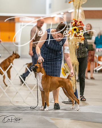 20261022-DSC03007