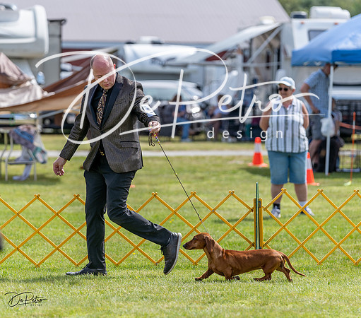 20230513-DSC09752