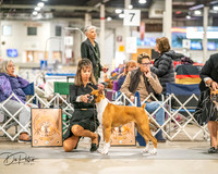 20261022-DSC01552
