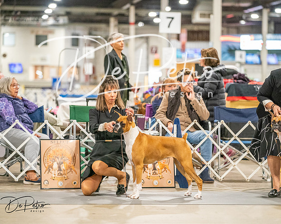 20261022-DSC01552