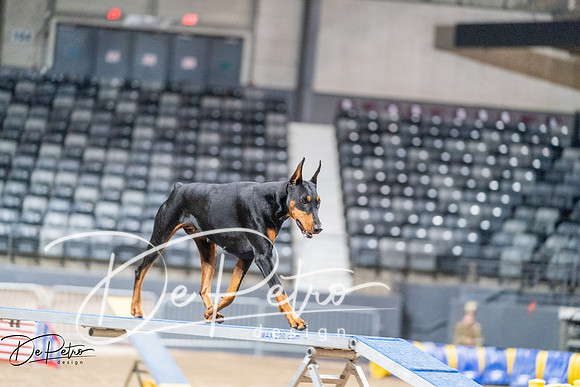 20260929-DSC06506