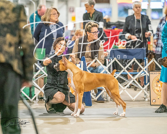 20261022-DSC01880