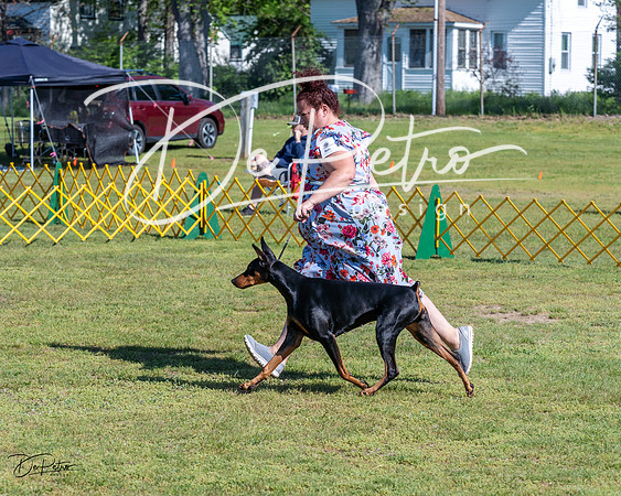 20230514-DSC02678