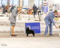 20230331-DSC05976