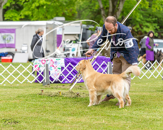 20230427-DSC03662