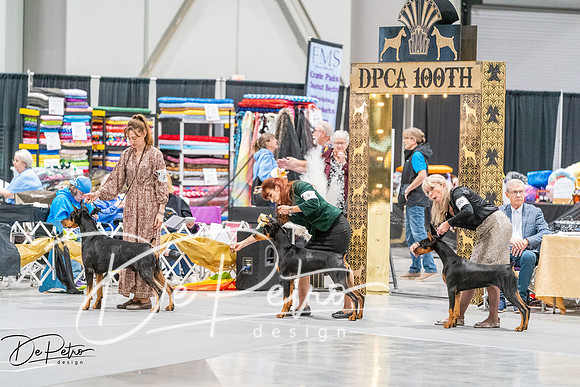 20261001-DSC07216