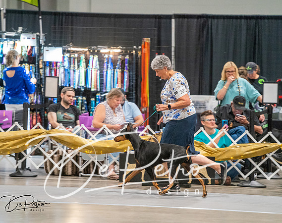 20260926-DSC04632