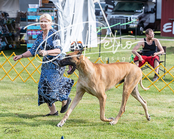 20230513-DSC00779