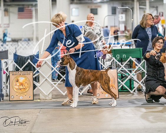 20261022-DSC01867