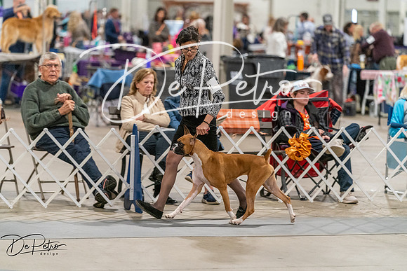 20261023-DSC05156
