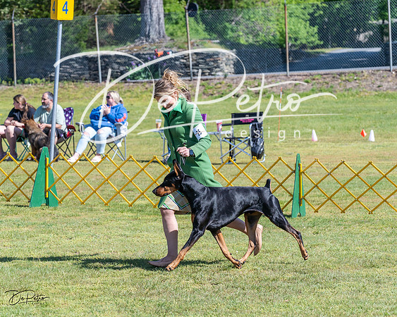 20230514-DSC03241