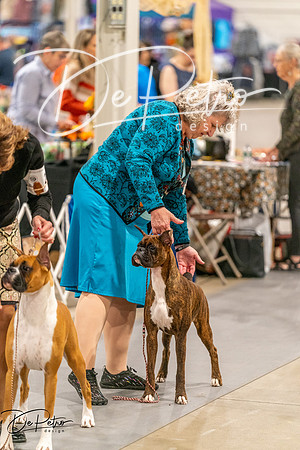 20261022-DSC00363