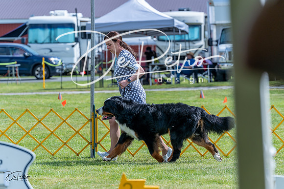 20230512-DSC05278