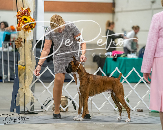 20261022-DSC02769