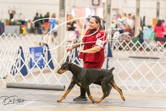 20261024-DSC00913