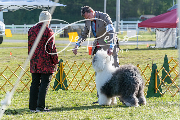 20230513-DSC02431