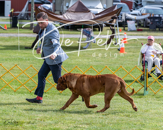 20230513-DSC00730